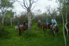 Trail-ride-june-6-2007-007